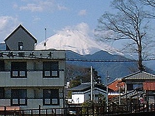 ıؤ鸫ٻλ
