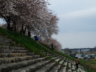 ڻκ1